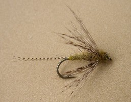 Partridge and Olive Nymph