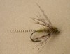 Click to view this fly Click to view this fly