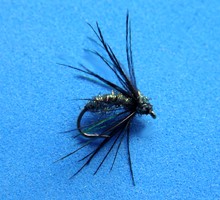 Peacock and Black