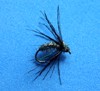 Click to view this fly Click to view this fly