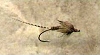 Click to view this fly Click to view this fly