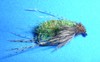 Click to view this fly Click to view this fly