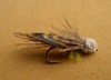 Click to view this fly Click to view this fly