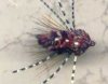 Click to view this fly