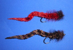 Redfish Worm