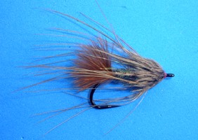Salmon Sparrow