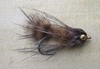 Click to view this fly