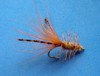 Click to view this fly