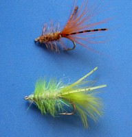 Crystal Shrimpie