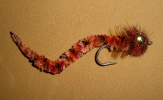 Wiggle Worm