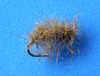 Click to view this fly Click to view this fly