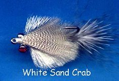 White Sand Crab