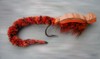 Click to view this fly Click to view this fly