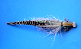 Flatwing Gurgler