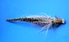 Click to view this fly
