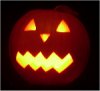 Read Fall Striper Strategies