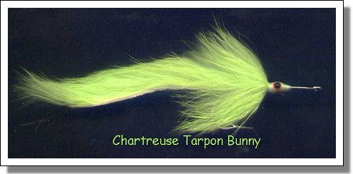 Tarpon Bunny