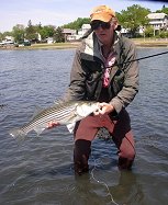 Stripers in Boston