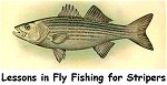 View info on Jack's fishing classes