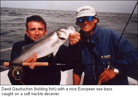David Gauduchon