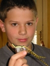 Euan Sorrell