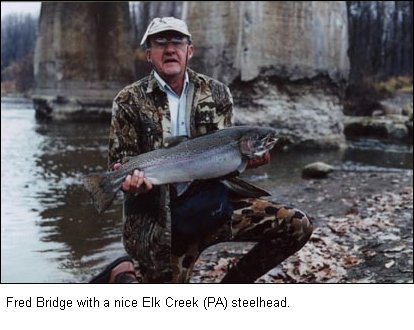 Fred Bridge
