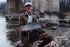 Fred Bridge