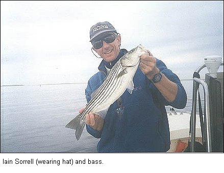 Iain Sorrell