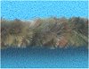 Small Worm and Eel Chenille